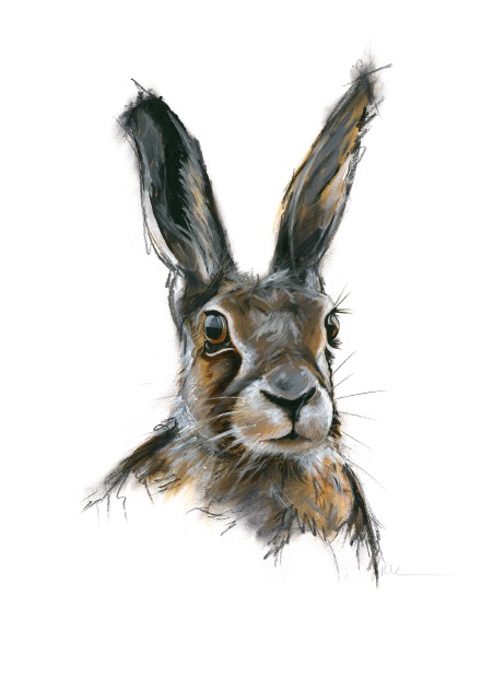 'Hare Portrait' by artist Rebecca Kelly